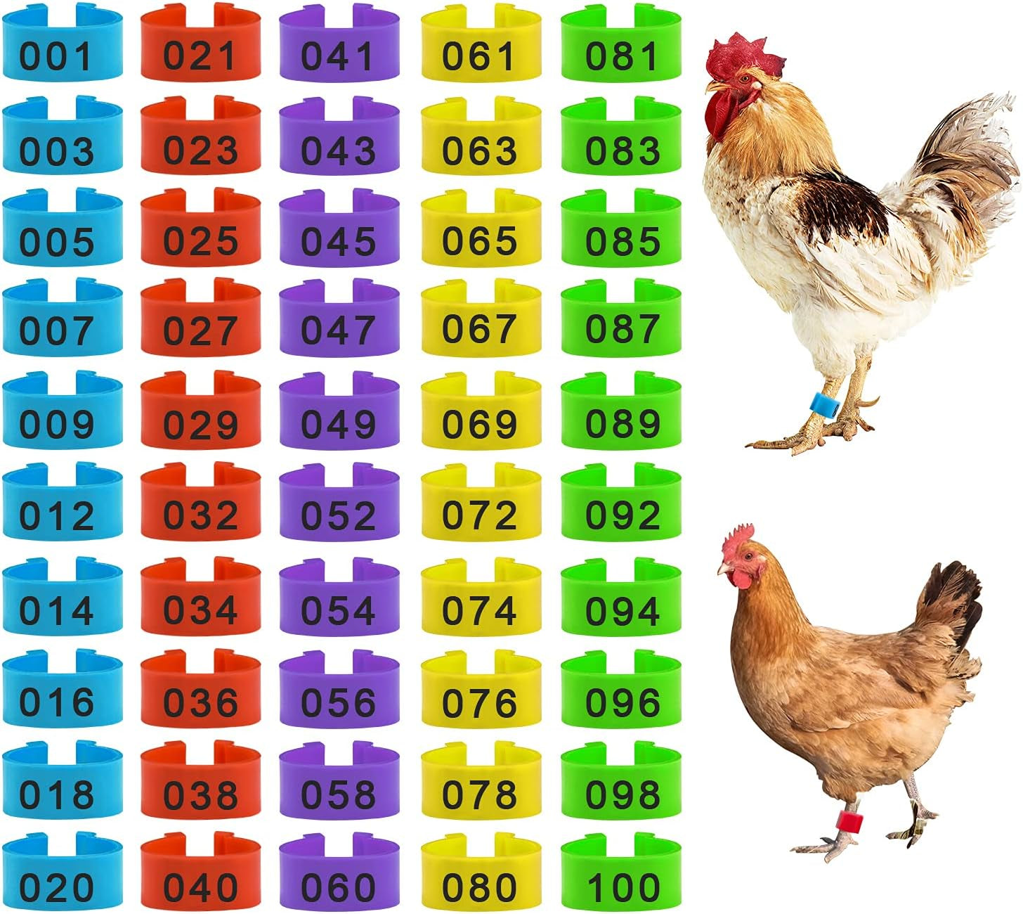 100 Pieces Chicken Bird Leg Rings, Multiple Colour Numbered Chicken Birds Identification Leg Bands Poultry Leg Bands Clip-On Leg Rings for Pigeons Quail Chicken Goose Gamefowl Turkey