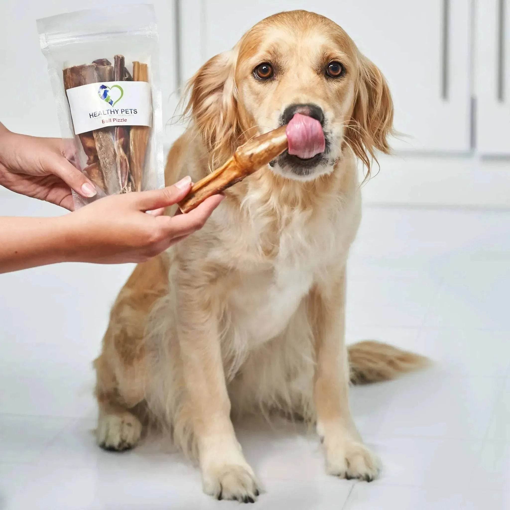 Bull Pizzle - 10% Discount for Subscribers