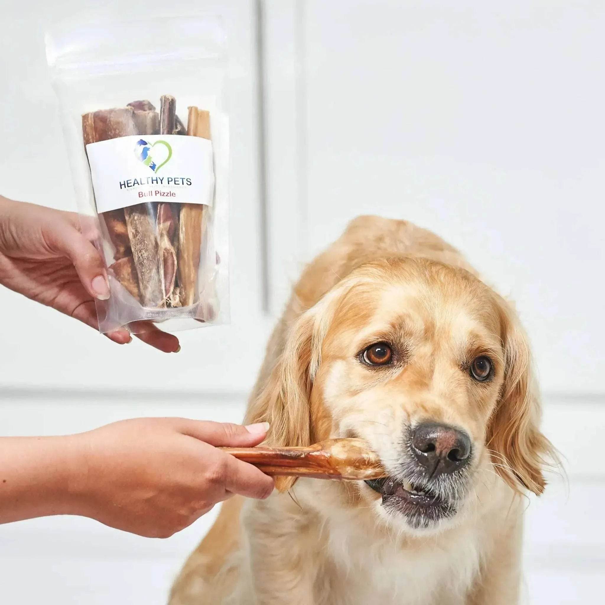 Bull Pizzle - 10% Discount for Subscribers