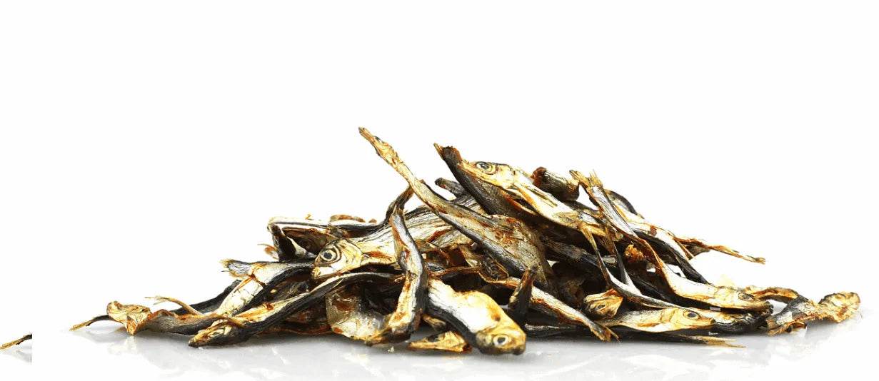 Dog Fish (Sprats)