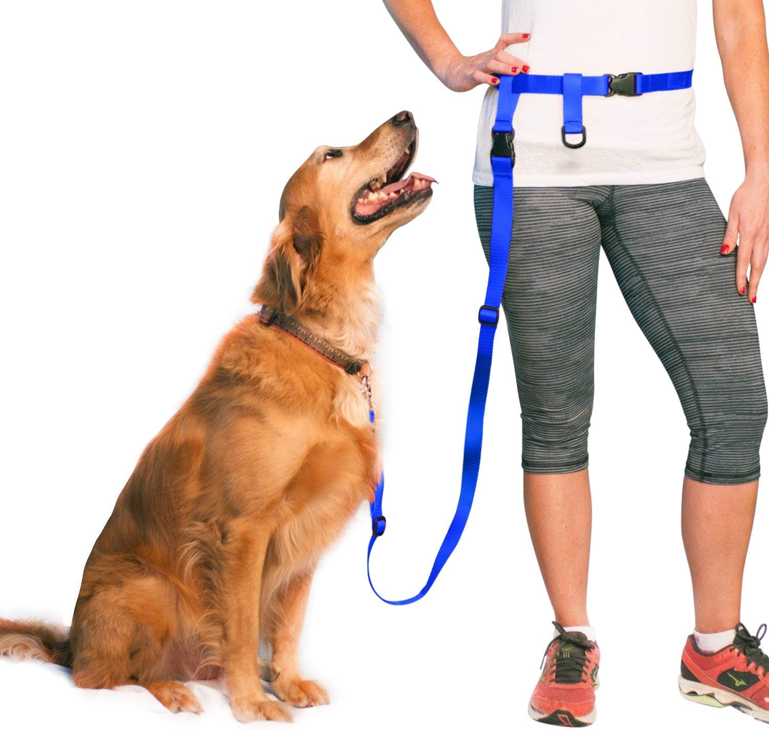 Hands Free Dog Leash, Adjustable Leash for Running, Jogging, Training and Service Dogs, Great for Small, Medium and Large Dogs, Made in USA (Royal Blue, Large Belt (27