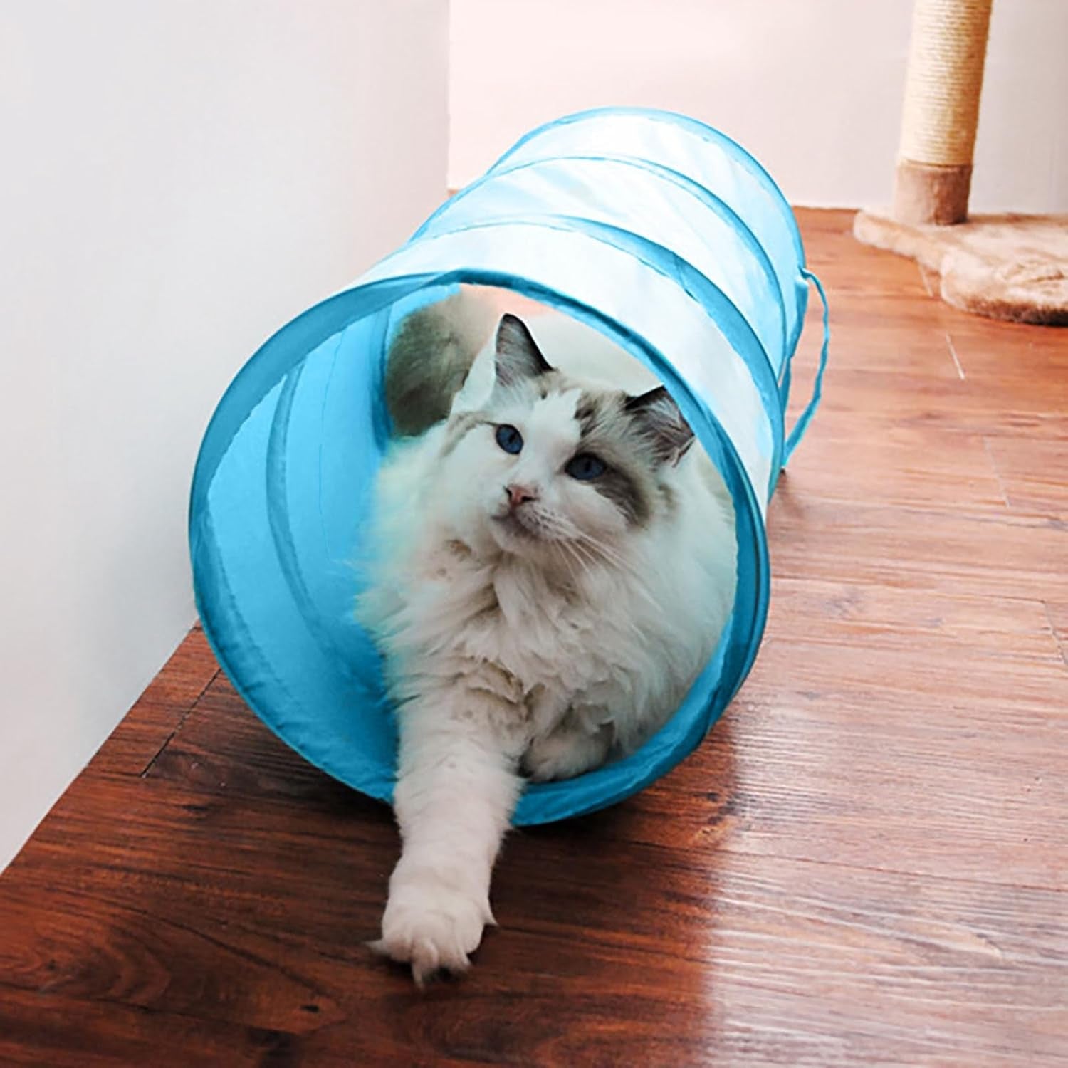 Cat Tunnel for Indoor Cats Interactive, Rabbit Tunnel Toys, Pet Toys Play Tunnels for Cats Kittens Rabbits Puppies Crinkle Collapsible Pop up Black 20