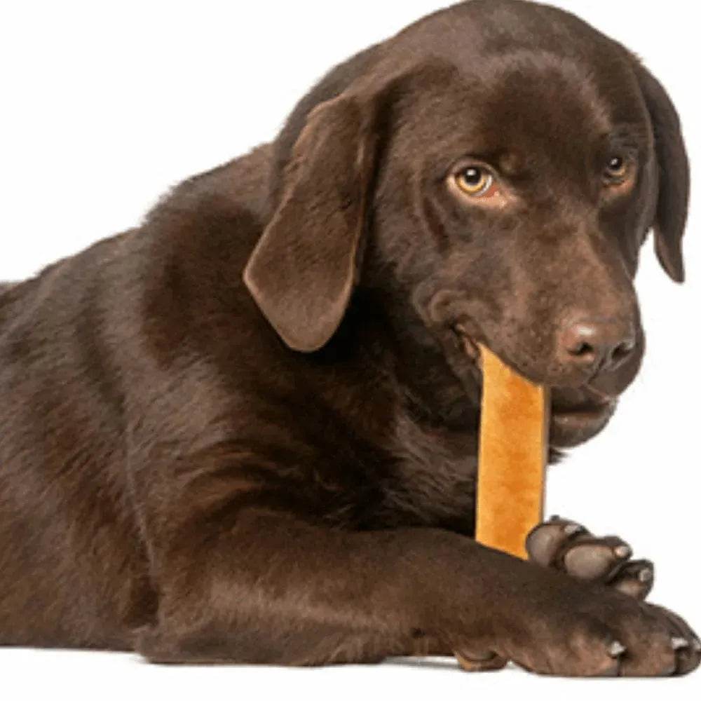 Himalayan Yak Organic Dog chew - 10% Discount for Subscribers