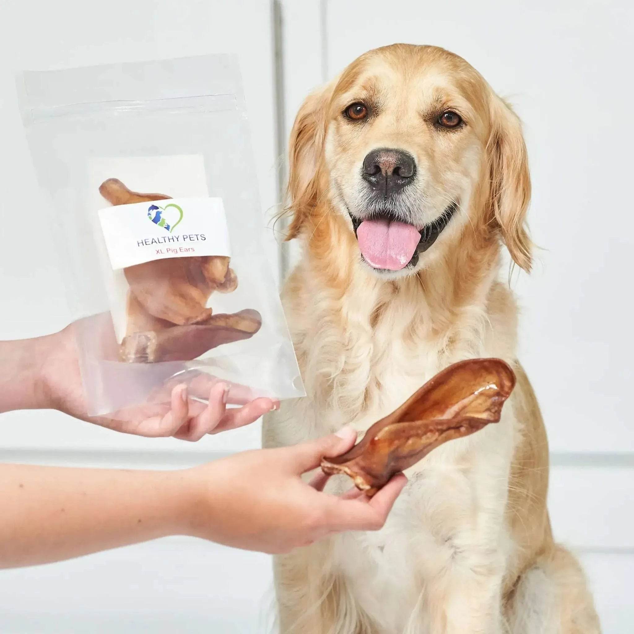 Pig Ears Sample