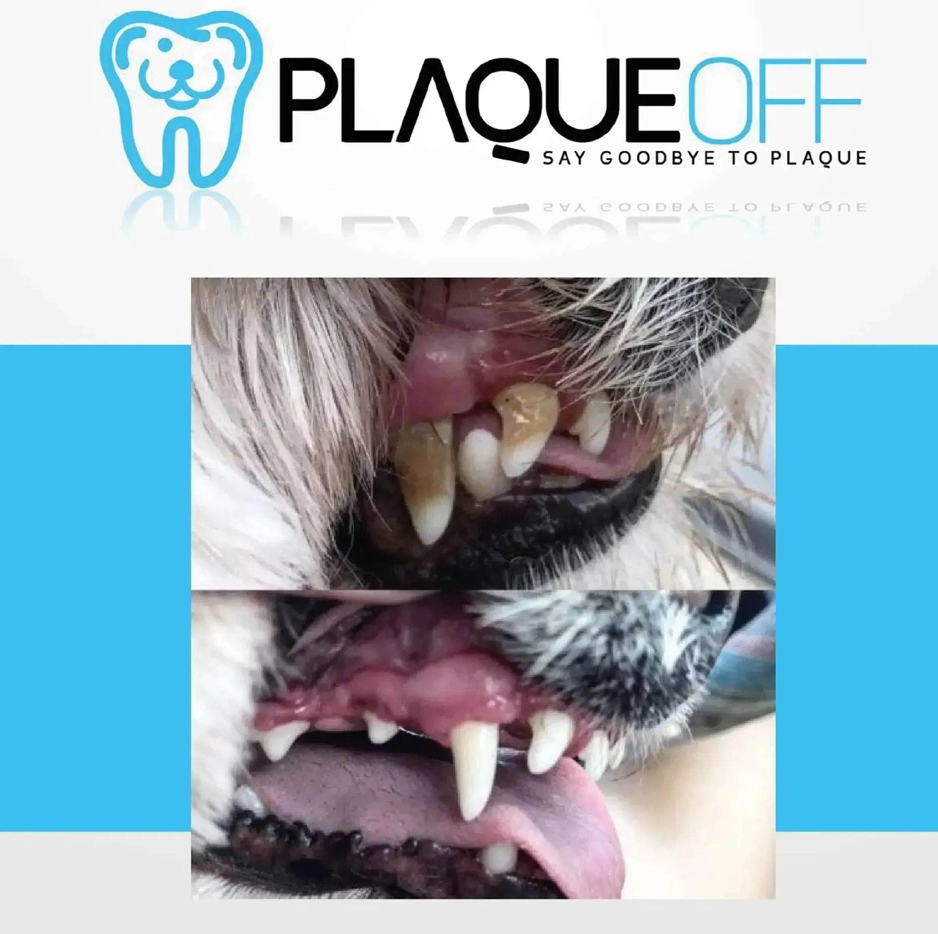 Plaque off - Healthy Pets UK Store